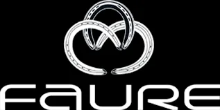 fers-faure.com