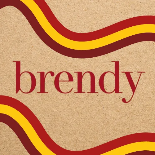 brendy.fr