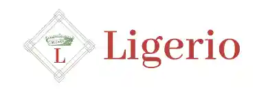 ligerio.fr